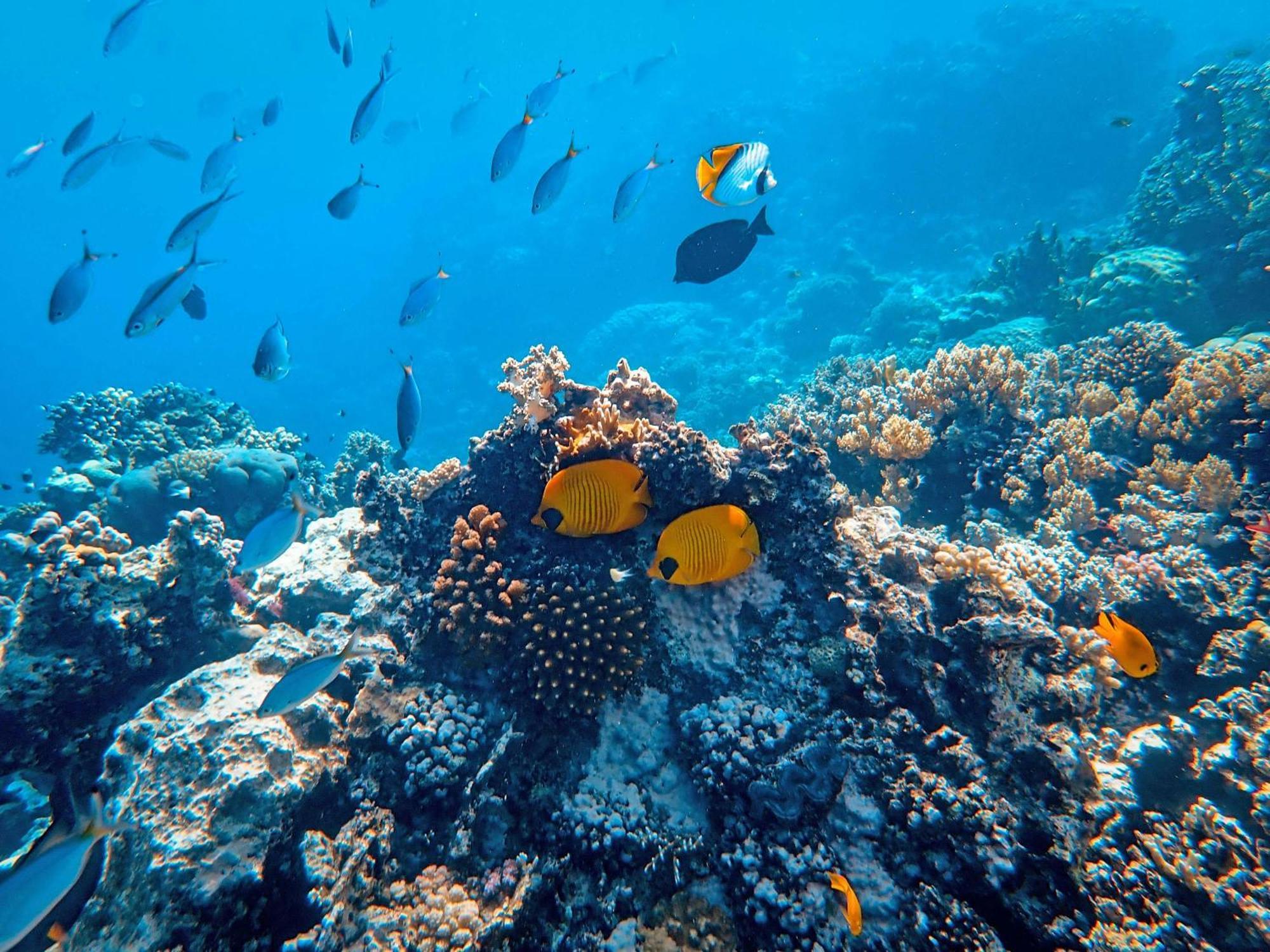 Isla - The Island Experience Ξενοδοχείο El Nido Εξωτερικό φωτογραφία