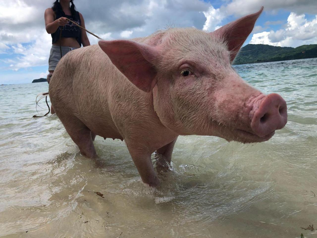 Isla - The Island Experience Ξενοδοχείο El Nido Εξωτερικό φωτογραφία